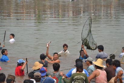 夢見捕魚|夢見捉魚、抓魚、捕魚